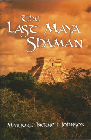 Cover of the book The Last Maya Shaman: Part I by Donna MacMeans