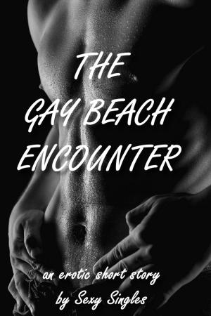 Book cover of The Gay Beach Encounter
