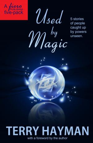 Cover of the book Used by Magic by Terri Darling