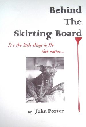 Book cover of Behind The Skirting Board