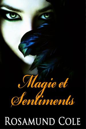 Book cover of Magie et Sentiments
