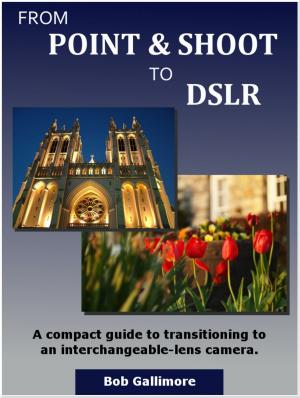 Cover of the book From Point & Shoot to DSLR: A Compact Guide to Transitioning to an Interchangeable-Lens Camera by Natalia Danioni