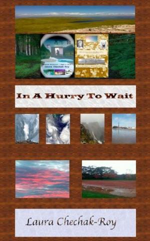Cover of the book In A Hurry To Wait by Fabio Bueno