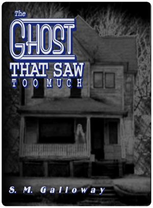 Cover of the book The Ghost That Saw Too Much by Nathaniel Sewell
