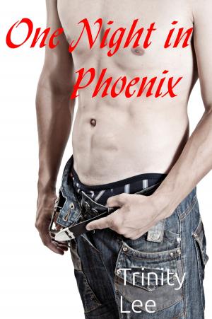 Cover of the book One Night in Phoenix by Trinity Lee