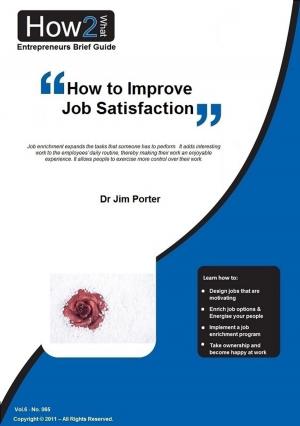 Book cover of How to Improve Job Satisfaction
