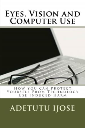 Book cover of Eyes Vision and Computer Use
