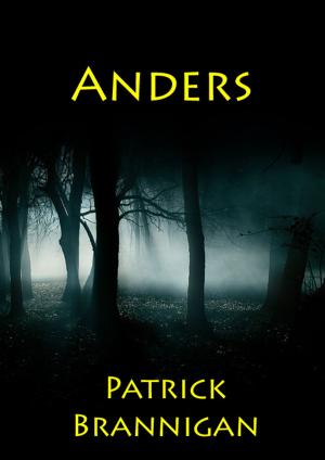bigCover of the book Anders by 