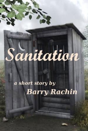 Book cover of Sanitation