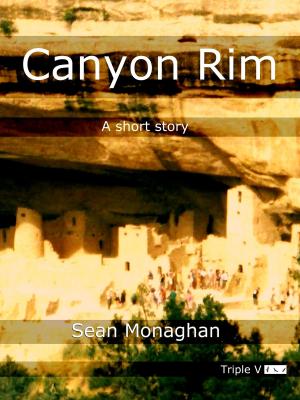 Cover of the book Canyon Rim by Len Stone