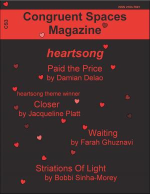 Cover of the book Congruent Spaces Magazine, Issue 3 by Elizabeth Elliott