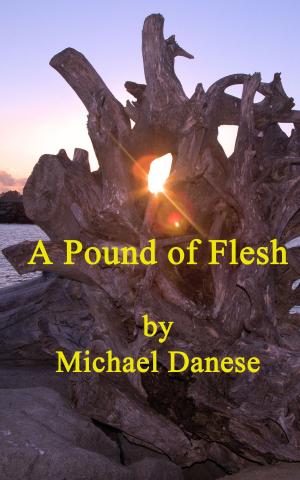Cover of the book A Pound of Flesh by Benjamin James
