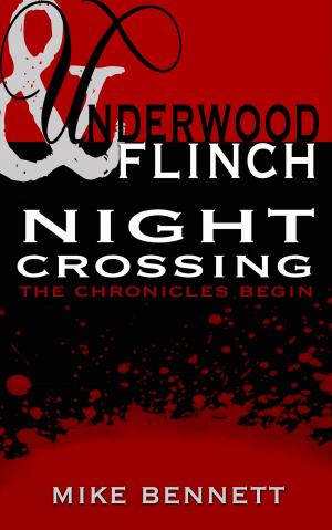 Book cover of Night Crossing
