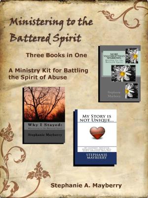 Book cover of Ministering to the Battered Spirit: A Ministry Kit for Battling the Spirit of Abuse