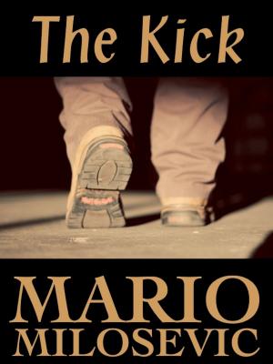 Cover of the book The Kick by Tabitha Caplinger