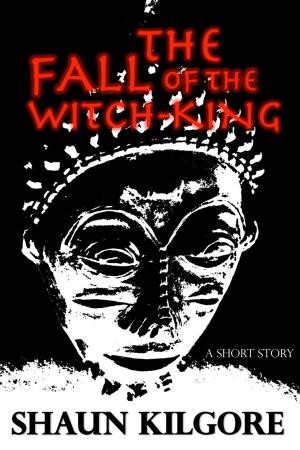 Cover of the book The Fall Of The Witch-King by Catherine McGuire