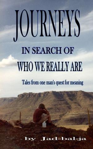Cover of the book Journeys In Search Of Who We Really Are, Tales from one man's search for meaning by Iris Barratt