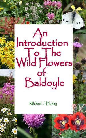 Book cover of An Introduction To The Wildflowers of Baldoyle
