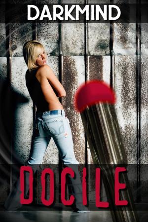 Cover of the book Docile by Andrey Davydov, Olga Skorbatyk