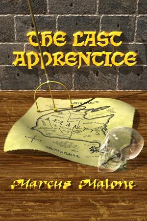 Cover of the book The Last Apprentice by Rachel Pollack