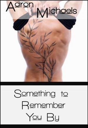 Book cover of Something to Remember You By