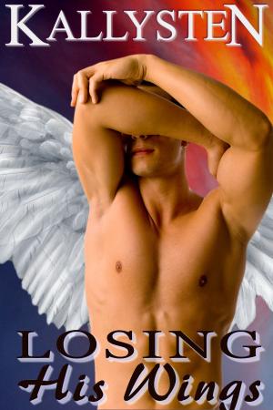 Cover of Losing His Wings
