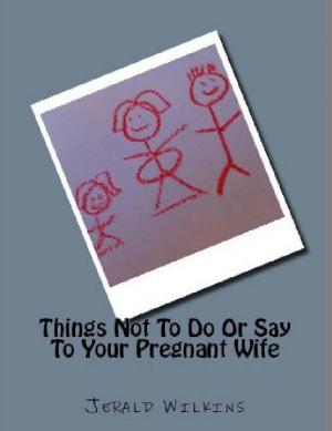 Cover of Things Not To Do Or Say To Your Pregnant Wife