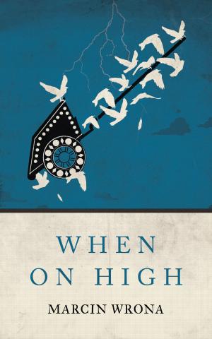 Cover of the book When on High by Teri J. Dluznieski M.Ed.