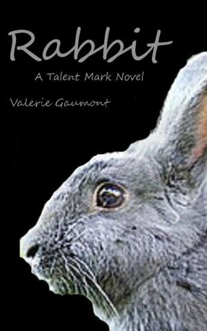 Cover of the book Rabbit by Rudy Rucker