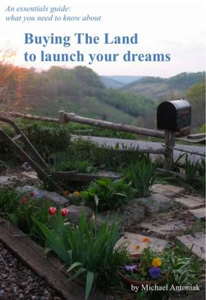 Cover of the book Buying The Land To Launch Your Dreams by Carien Touwen