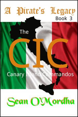 Book cover of CIC: The Canary Island Commandos