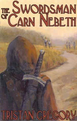bigCover of the book The Swordsman of Carn Nebeth by 