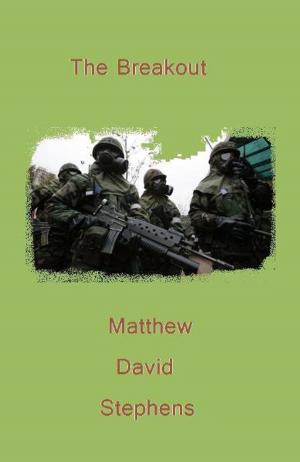 Cover of the book The Breakout by Paul McElwee