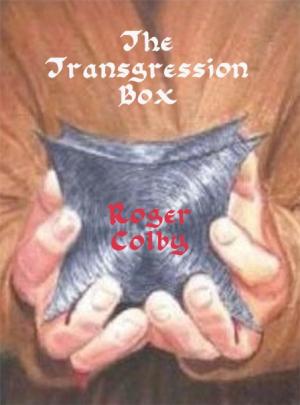 bigCover of the book The Transgression Box by 