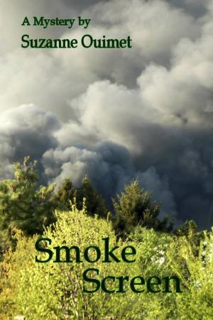 Cover of the book Smoke Screen by CC LeBlanc