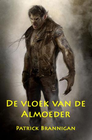 Book cover of De vloek van de Almoeder