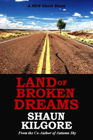 Cover of Land Of Broken Dreams