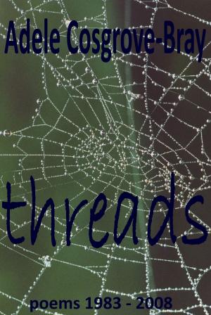 Cover of the book Threads by Marlene Fanta Shyer
