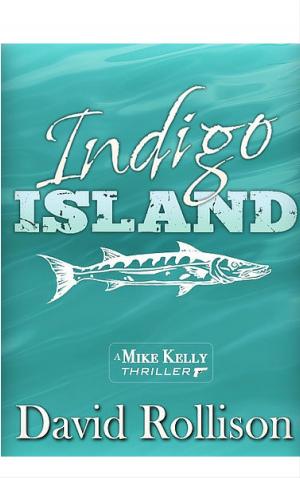 bigCover of the book Indigo Island by 