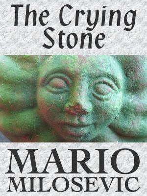 Book cover of The Crying Stone