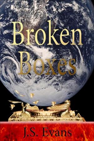 Cover of the book Broken Boxes by Janice Sims