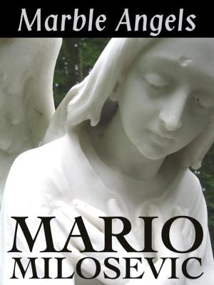 Book cover of Marble Angels
