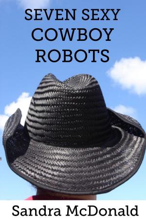 Book cover of Seven Sexy Cowboy Robots
