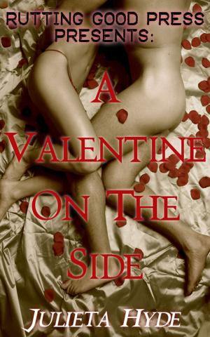 Cover of the book A Valentine On The Side by Julieta Hyde
