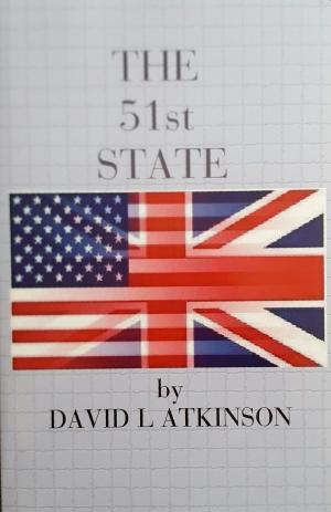 Book cover of The 51st State