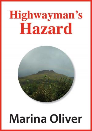 Cover of the book Highwayman's Hazard by Annette Blair