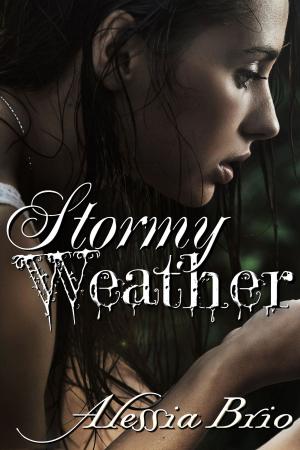 Cover of the book Stormy Weather by Penelope L'Amoreaux