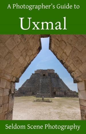 Book cover of A Photographer's Guide to Uxmal