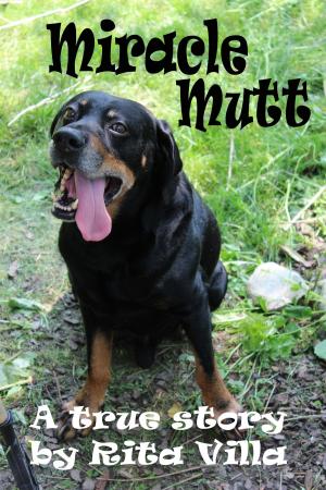bigCover of the book Miracle Mutt by 