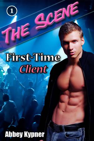 Book cover of The Scene (Book 1): First-Time Client